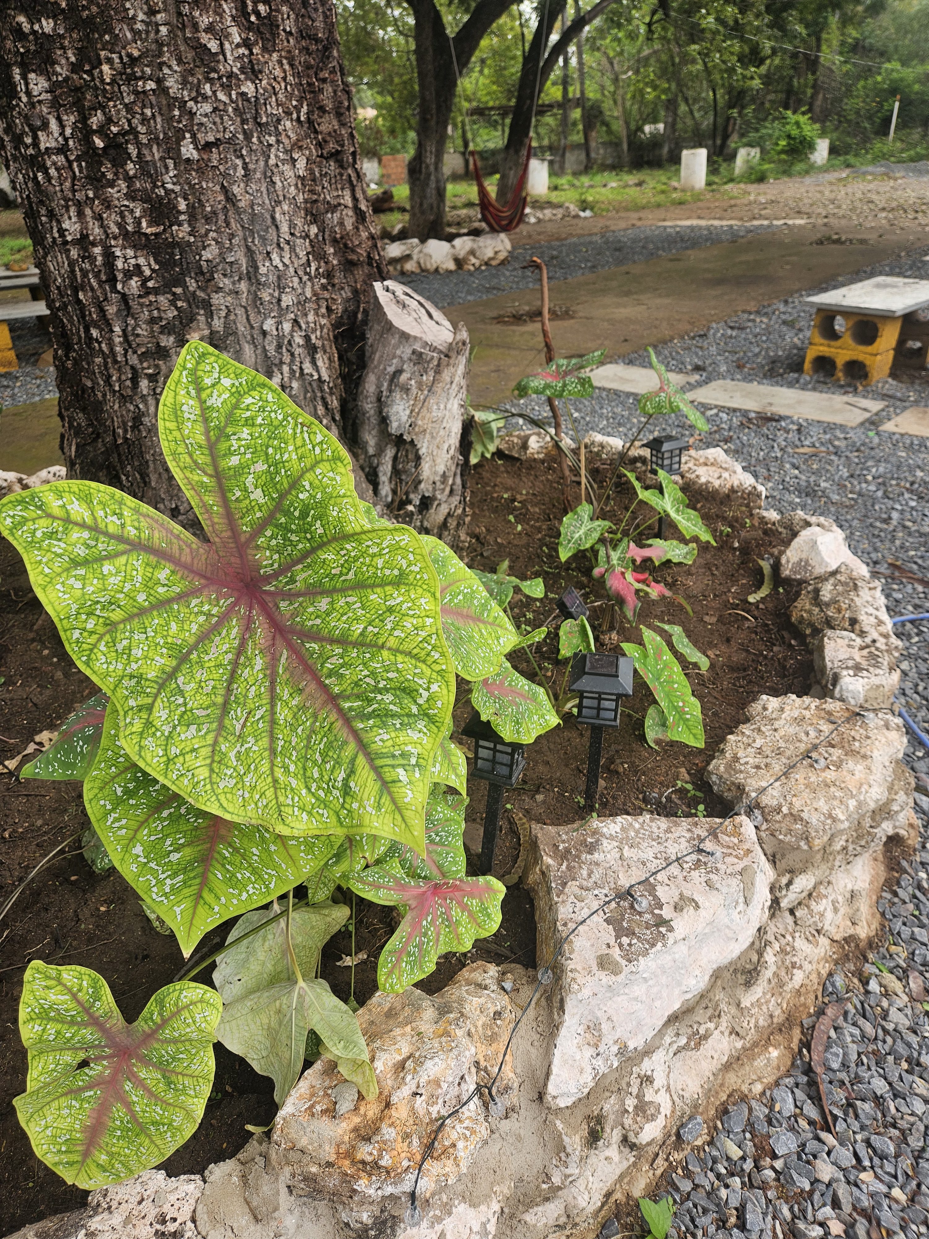 Área verde da Village Residences